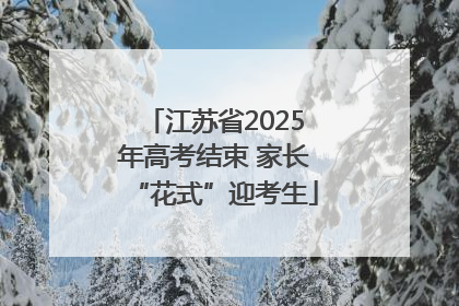 江苏省2025年高考结束 家长“花式”迎考生