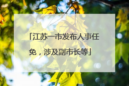 江苏一市发布人事任免，涉及副市长等