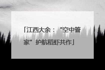 江西大余：“空中管家”护航稻虾共作