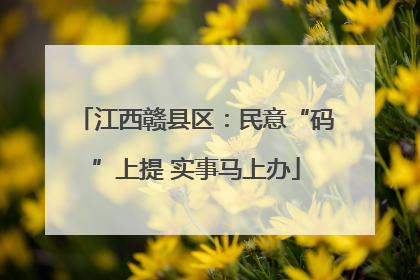 江西赣县区：民意“码”上提 实事马上办