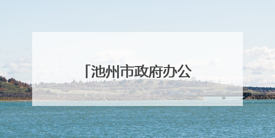 池州市政府办公室副主任杨洞庭接受审查调查