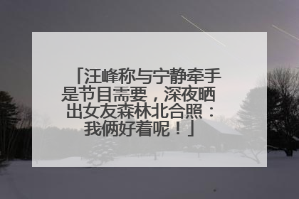 汪峰称与宁静牵手是节目需要，深夜晒出女友森林北合照：我俩好着呢！
