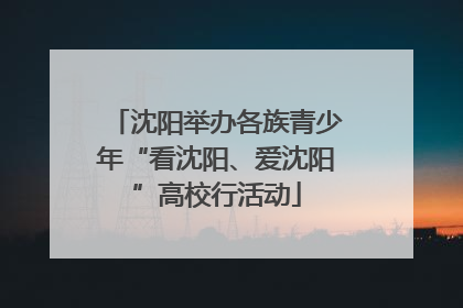 沈阳举办各族青少年“看沈阳、爱沈阳”高校行活动