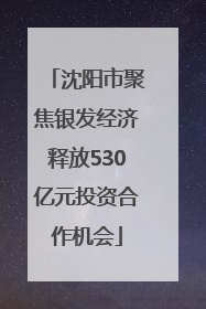 沈阳市聚焦银发经济释放530亿元投资合作机会