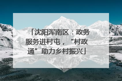 沈阳浑南区：政务服务进村屯，“村政通”助力乡村振兴