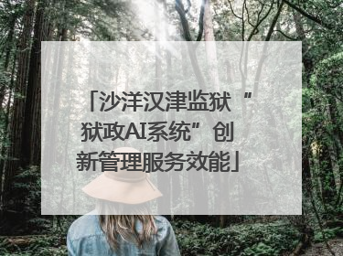 沙洋汉津监狱“狱政AI系统”创新管理服务效能