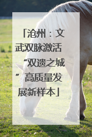 沧州：文武双脉激活“双遗之城”高质量发展新样本