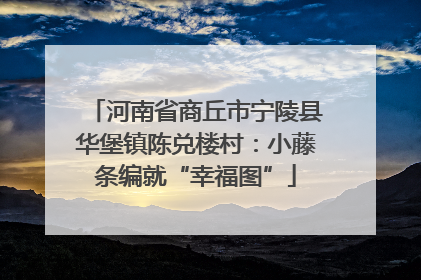 河南省商丘市宁陵县华堡镇陈兑楼村：小藤条编就“幸福图”