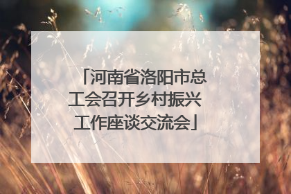 河南省洛阳市总工会召开乡村振兴工作座谈交流会