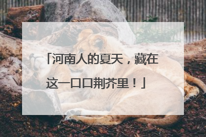 河南人的夏天，藏在这一口口荆芥里！