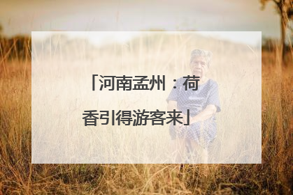 河南孟州：荷香引得游客来