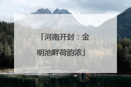 河南开封：金明池畔荷韵浓