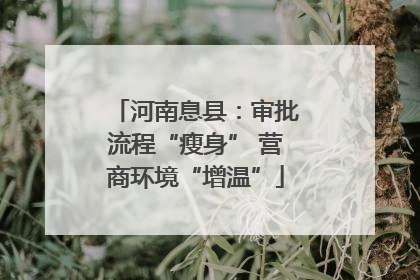 河南息县：审批流程“瘦身” 营商环境“增温”