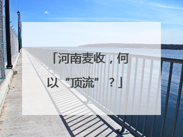 河南麦收，何以“顶流”？