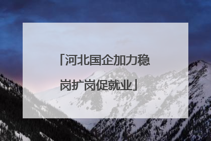 河北国企加力稳岗扩岗促就业