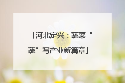河北定兴：蔬菜“蔬”写产业新篇章