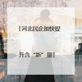 河北民企加快提升含“新”量