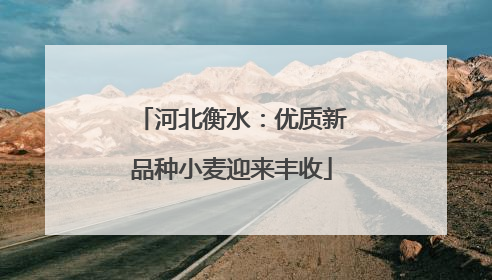 河北衡水：优质新品种小麦迎来丰收