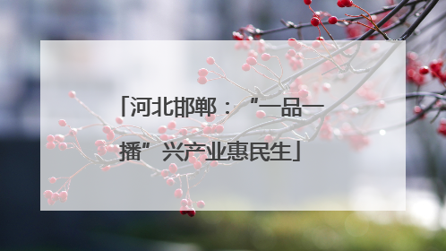 河北邯郸：“一品一播”兴产业惠民生