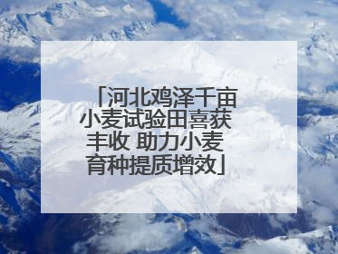 河北鸡泽千亩小麦试验田喜获丰收 助力小麦育种提质增效