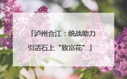 泸州合江：统战助力引活石上“致富花”