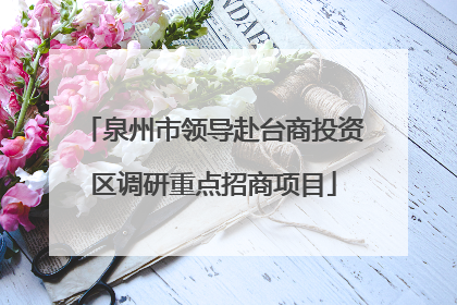 泉州市领导赴台商投资区调研重点招商项目