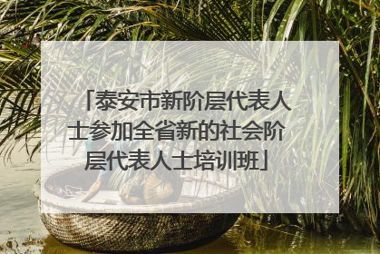 泰安市新阶层代表人士参加全省新的社会阶层代表人士培训班