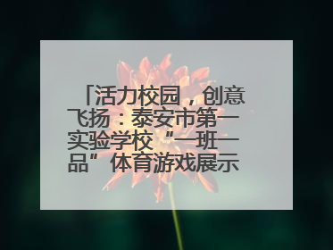 活力校园，创意飞扬：泰安市第一实验学校“一班一品”体育游戏展示精彩纷呈