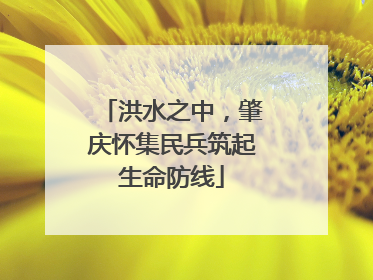 洪水之中，肇庆怀集民兵筑起生命防线