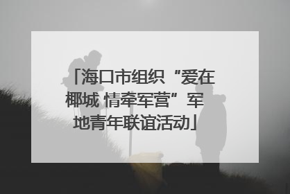 海口市组织“爱在椰城 情牵军营”军地青年联谊活动