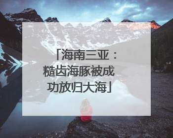 海南三亚：糙齿海豚被成功放归大海