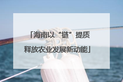 海南以“链”提质 释放农业发展新动能