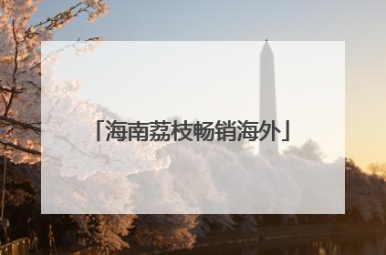 海南荔枝畅销海外