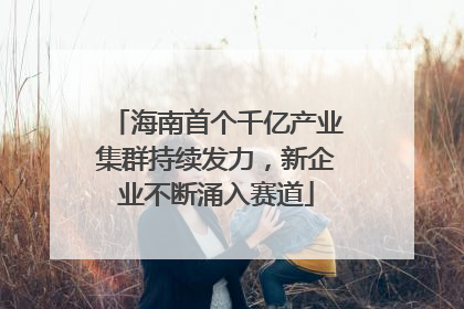 海南首个千亿产业集群持续发力，新企业不断涌入赛道