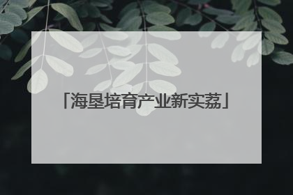 海垦培育产业新实荔