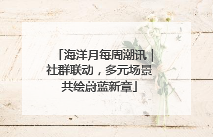 海洋月每周潮讯｜社群联动，多元场景共绘蔚蓝新章