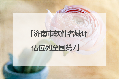 济南市软件名城评估位列全国第7