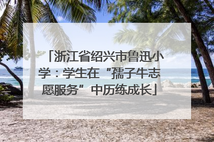 浙江省绍兴市鲁迅小学：学生在“孺子牛志愿服务”中历练成长