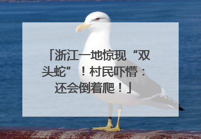 浙江一地惊现“双头蛇”！村民吓懵：还会倒着爬！