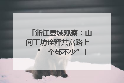 浙江县域观察：山间工坊诠释共富路上“一个都不少”