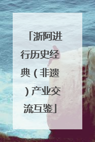 浙阿进行历史经典（非遗）产业交流互鉴