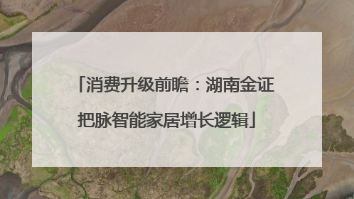 消费升级前瞻：湖南金证把脉智能家居增长逻辑