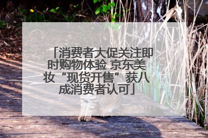 消费者大促关注即时购物体验 京东美妆“现货开售”获八成消费者认可
