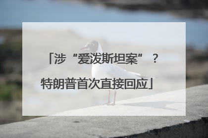 涉“爱泼斯坦案”？特朗普首次直接回应
