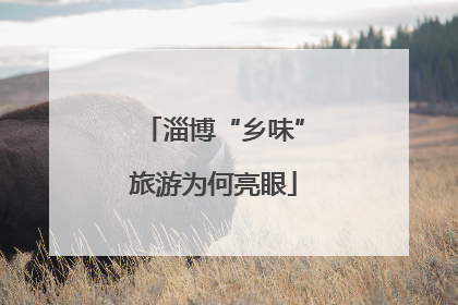 淄博“乡味”旅游为何亮眼