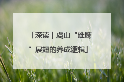 深读｜虞山“雄鹰”展翅的养成逻辑