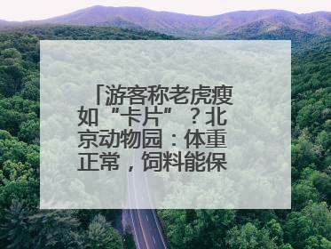 游客称老虎瘦如“卡片”？北京动物园：体重正常，饲料能保障营养需求