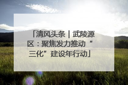 清风头条｜武陵源区：聚焦发力推动“三化”建设年行动