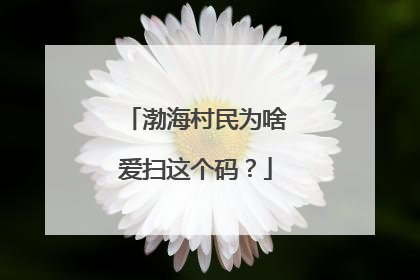 渤海村民为啥爱扫这个码？