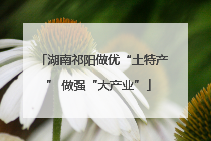 湖南祁阳做优“土特产” 做强“大产业”
